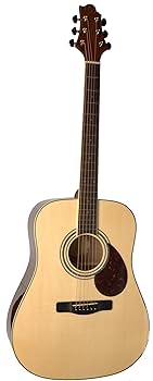 Greg Bennett D-310　アコースティック・ギター　アコギ Greg Bennett グレッグベネット/アコースティックギター/D-310